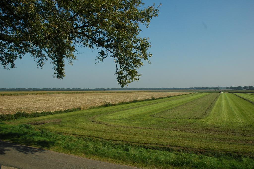 Bed and Breakfast Huize Ouwervelden Wouwsche Plantage Exterior foto